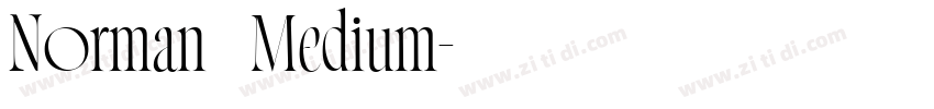 Norman   Medium字体转换